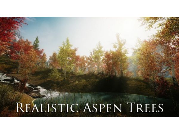 Skyrim Graphics Mods